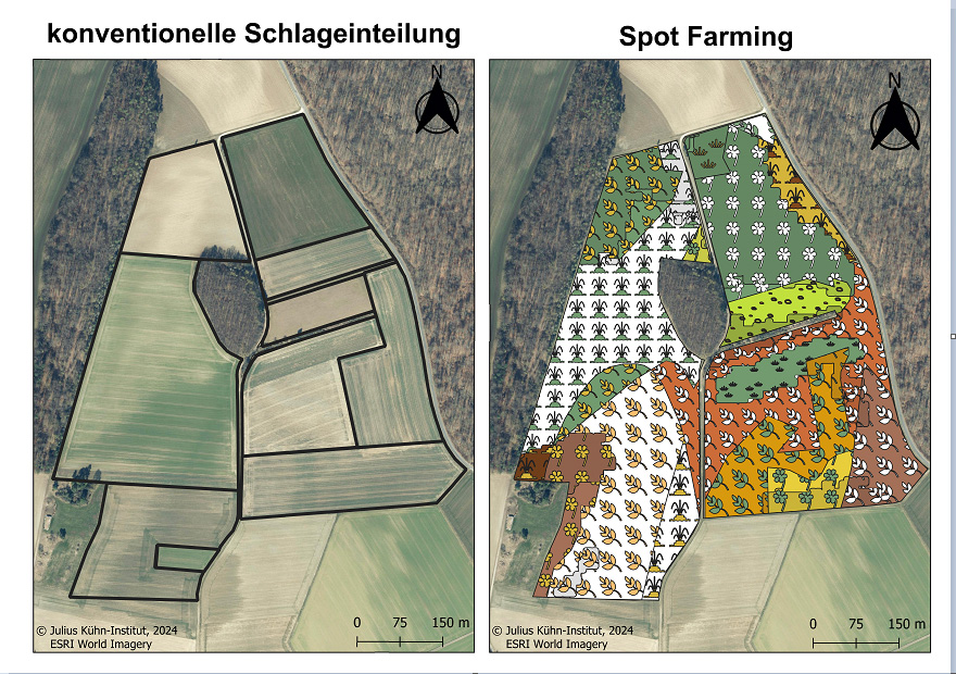 Konventionelle und aktuelle Schlageinteilung der Beispielfläche bei Baterode (westlich von Göttingen) und die Spot-Karte für diese Flächen. © JKI