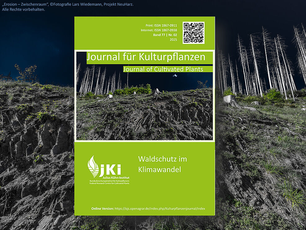 
	„Erosion – Zwischenraum“ - Coverbild des Themenheftes „Waldschutz im Klimawandel“ (© Lars Wiedemann, Projekt NeuHarz)
