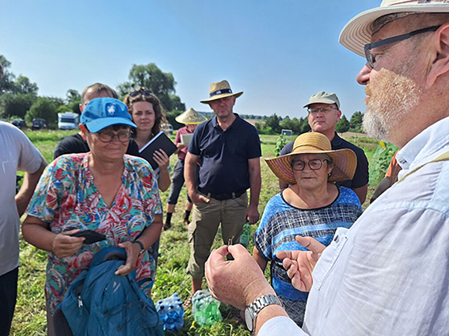 Prof. Kühne (rechts mit Hut) vom JKI zeigt den Teilnehmern die Merkmale einer sich in Brandenburg neu ausbreitenden Heuschreckenart (Italienische Schönschrecke - Calliptamus italicus), die im Mittelmeerraum regelmäßig Schäden in der Landwirtschaft verursacht. (© Sabrina Scholz/HNEE)