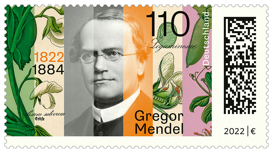 
	Mendels Porträt auf einer Briefmarke, umrahmt und verwoben mit Stängeln, Blättern, Blüten, Staubblättern und Samen von Erbsenpflanzen. Orange-pinke, transparente Vertikalbalken durchziehen die Darstellung
