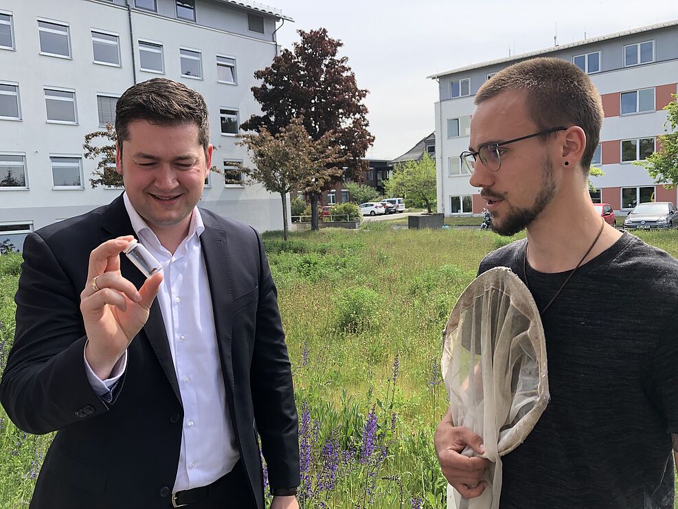 
	OB Kornblum betrachtet eine gerade von Projektmitarbeiter Marc Hoffman gefangene Mauerbienenart (c) S. Hahn/JKI
