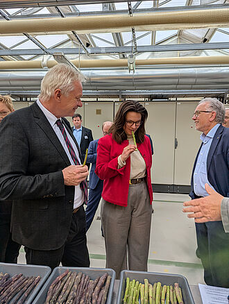 Die JKI-Züchtungsforscher für Gemüsepflanzen boten Spargellinien zum verkosten an, die Virusresistenzen in sich tragen. Geschmacklich sind die leider noch etwas entfernt von den Spargelqualitäten, die der Konsument erwartet. © I. Haberkorn/JKI