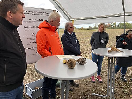Dr. Sabine Andert (JKI)  berichtet über gemeinsame Aktivitäten des JKI und der Pflanzenschutzdienste der Länder sowie Ergebnisse aus dem bundesweiten Monitoring zur Schilf-Glasflügelzikade. © Stefanie Hahn/JKI
