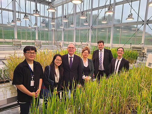 JKI-Delegation mit Gastgebern vom NAS besichtigen Versuch zu Stresstoleranz des NICS, v.l. Dr Hyundai Han, Dr Kyongmi Chon (beide NAS), Dr Johannes Jehle, Corinna Harms, Andreas Stahl und Jens Pistorius (vom JKI). © K. Chon/NAS