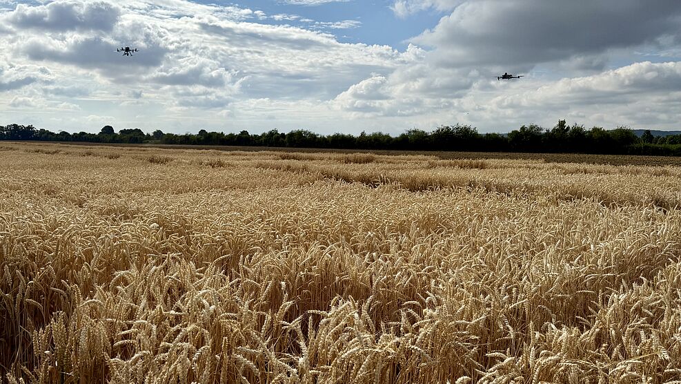 
	Drohnengestützte digitale Phänotypisierung im Winterweizen. © G. Wehner/JKI
