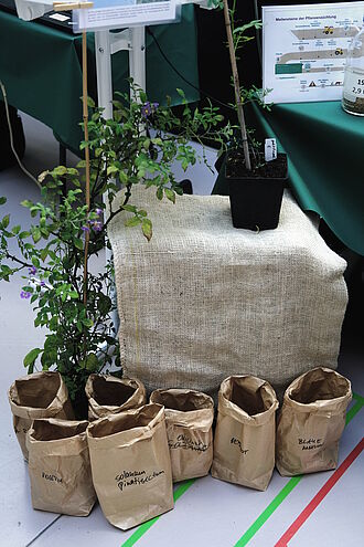 Im Fokus standen wissenschaftliche Arbeiten zur Hafer, Lupine, Kartoffel und Russischem Löwenzahn. © Florian Haase/JKI