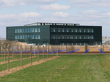 Außenansicht des neuen Institutsgebäude (errichtet 2018) in Dossenheim.