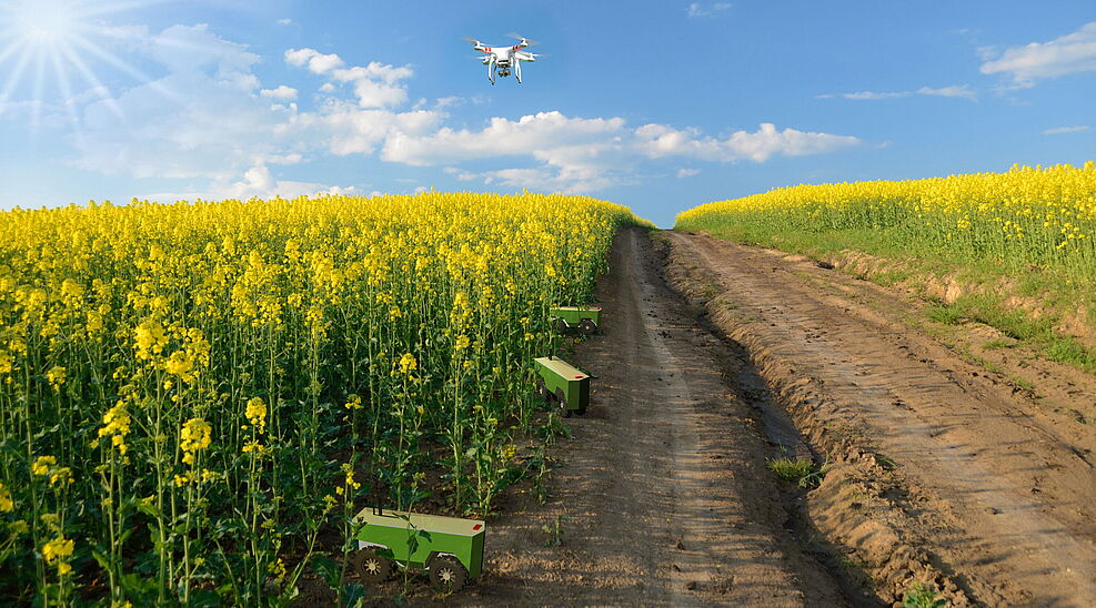 
	Vision digitalisierte Landwirtschaft: Feld-Roboter und Drohne in Raps  © anko_ter/fotolia.com (modifiziert)
