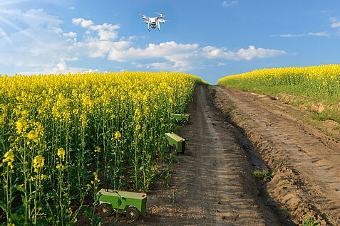 Vision digitalisierte Landwirtschaft: Feld-Roboter und Drohne in Raps  © anko_ter/fotolia.com (modifiziert)