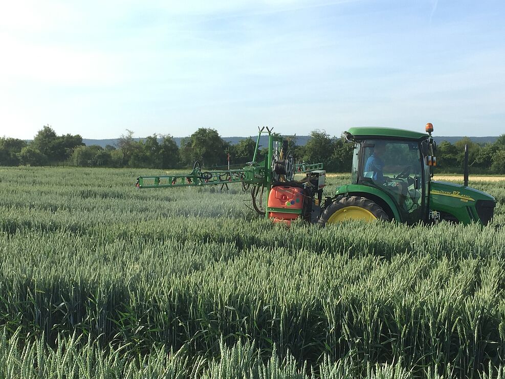 
	Künstliche Inokulation mit einem Isolat von Fusarium culmorum (Erreger der Ährenfusariose) in einer Konidien-Wasser-Suspension. ©Holger Zetzsche/JKI
