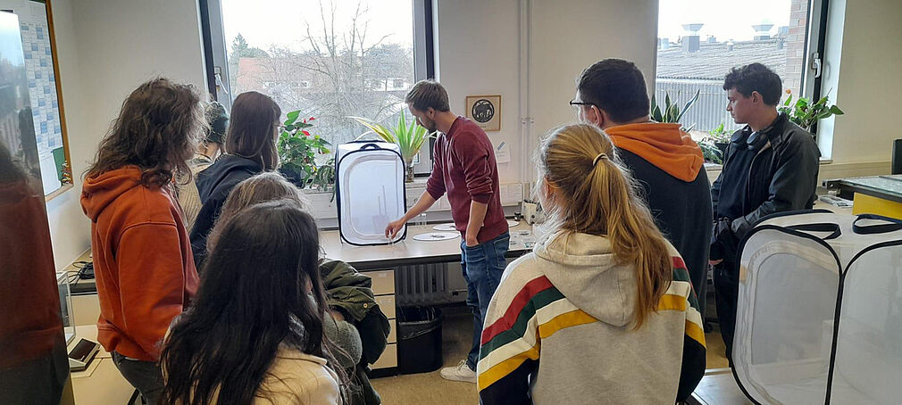 Demonstration zur Motivierung von Marienkäfern in den Käfigen zu fliegen. Foto: UGOE