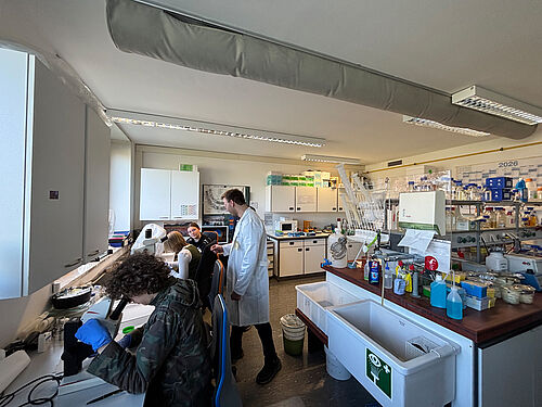 Auch der Blick durchs Mikroskop ist üblich, wenn man Pflanzen und ihre Krankheiten und Schaderreger erforscht. © S. Barnert/JKI