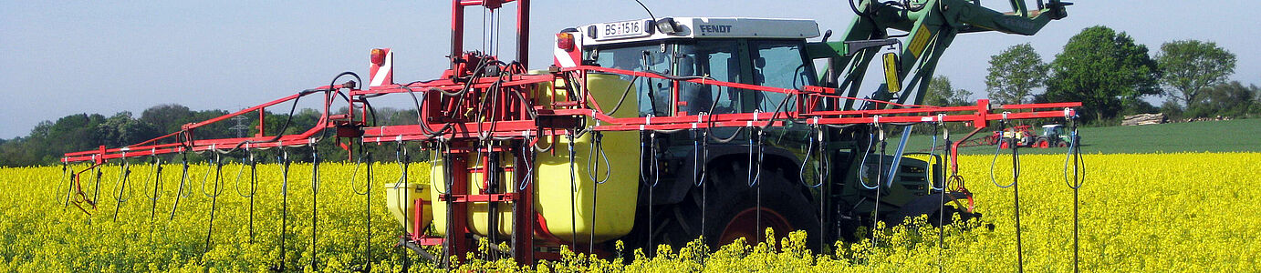 Ein Trecker mit Pflanzenschutzaufsatz (lange Schläuche, die im Blütenstand verschwinden) fährt durchs Rapsfeld.