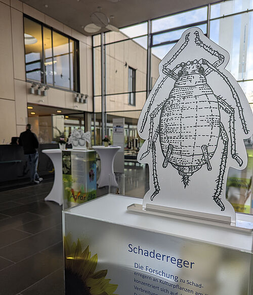 Teilobjekt der Dauerausstellung. © Isabel Haberkorn/JKI