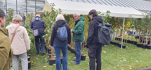 Wolfgang Müller von der Baum- und Rosenschule Müller. Foto: Andreas Peil/JKI