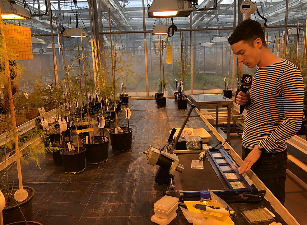 
	Moderator Sebastian Auer am JKI für ARD-Sendung "Live nach 9" © S. Hahn/JKI
