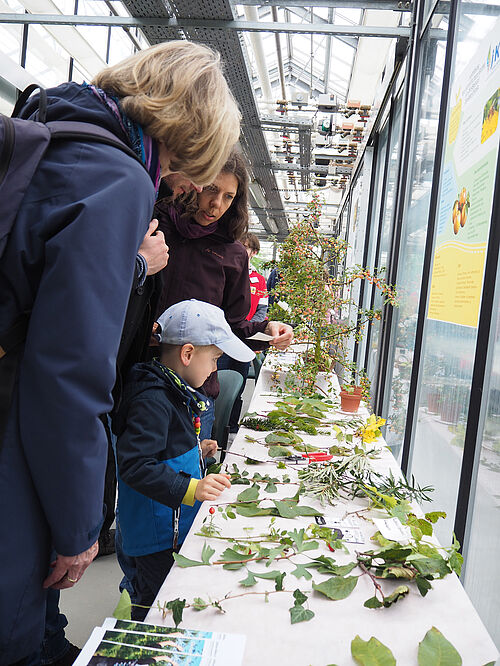 Besucher am Stand der Auszubildenden. Foto: Ute Sonntag/JKI