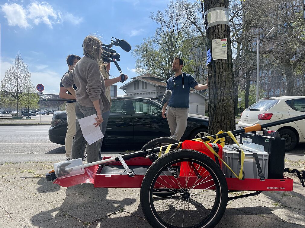 Matthias Beyer von der TU Braunschweig beim Hallo-Niedersachsen-Dreh zur Vitalität von Stadtbäumen.© V. Hörmann/JKI
