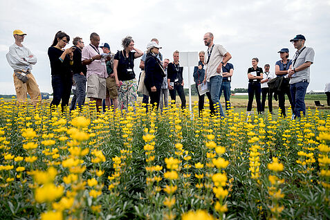 Fazit der ILC23-Konferenz: Um das Potenzial der Lupine stärker auszuschöpfen, müssen Neuzüchtung stabil hohe Proteingehalte bei möglichst geringem Bitterstoffgehalt aufweisen, gepaart mit Krankheitsreistenz und Trockstresstoleranz.