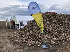 © Stefanie Hahn/JKI