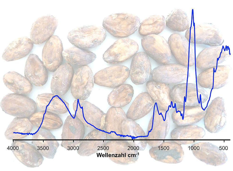
	Rohkakaobohnen und ein Nainfrarotsprektrum
