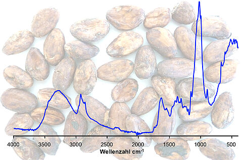 Rohkakaobohnen und ein Nainfrarotsprektrum 