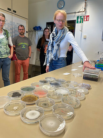 Das Teilprojekt umfasst die Untersuchung und Bestimmung von Pilzen und Oomyceten in Kultursubstratausgangsstoffen.