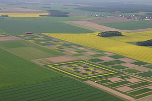 Versuchsfeldstandort Dahnsdorf des JKI