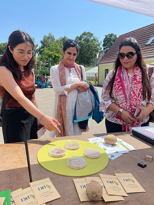 Aktionen, wie das Samenquiz bieten einen Niedrigschwelligen Einstieg in die Forschungsarbeiten des JKI. © S. Barnert/JKI