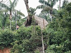 Experiencing the Colombian rainforest up close