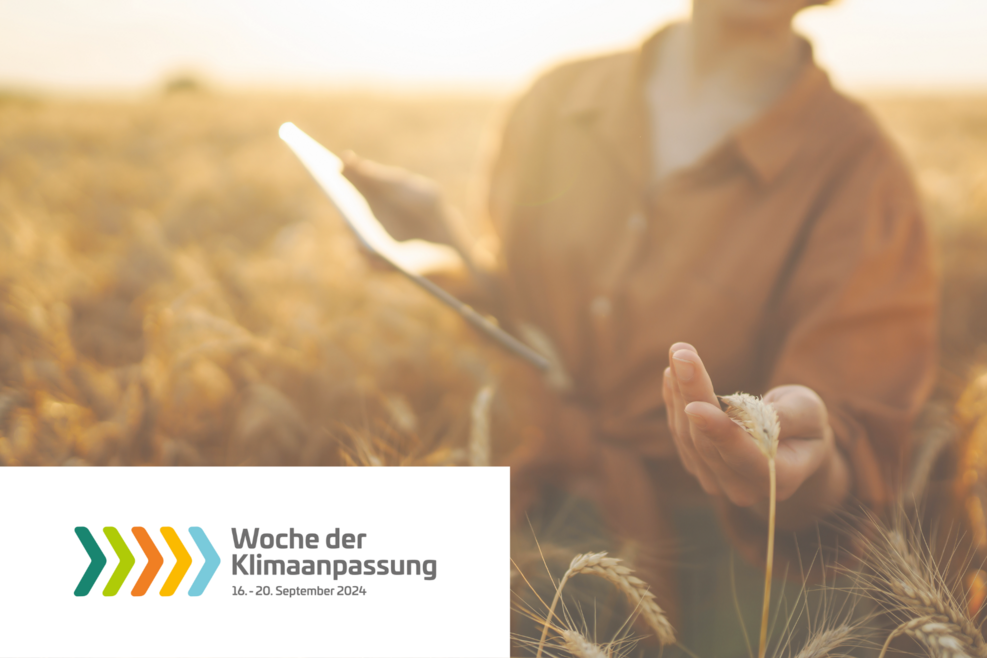 
	Passend zur Woche der Klimaanpassung 2024 bittet das JKI Landwirtinnen und Landwirte ihre Klimabetroffenheit im Winterweizen einzuschätzen.
