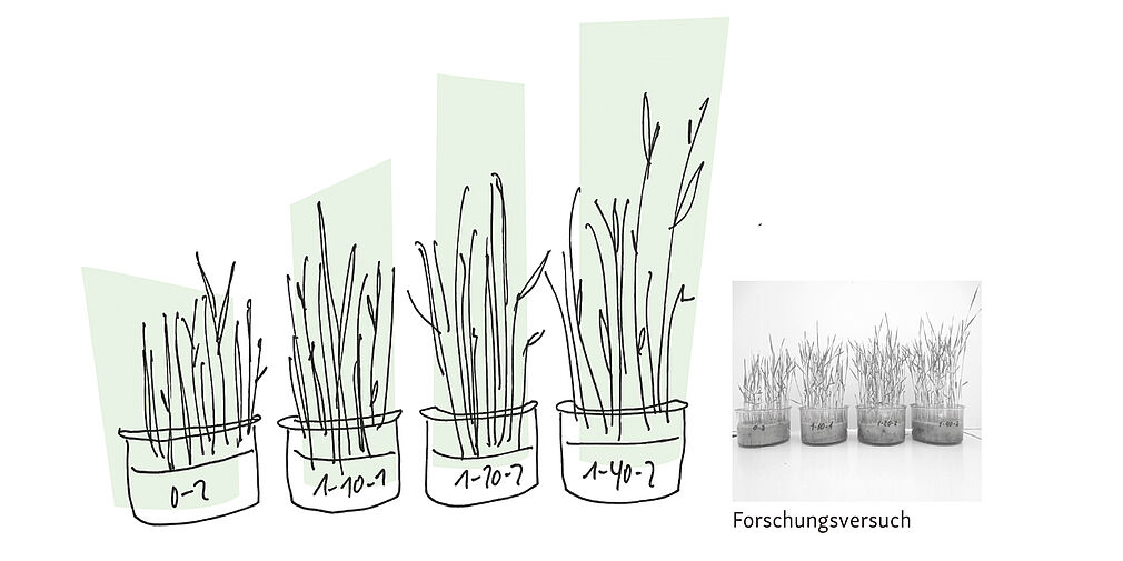 © Dörte Wähner, info@doma.de | Forschungsversuch