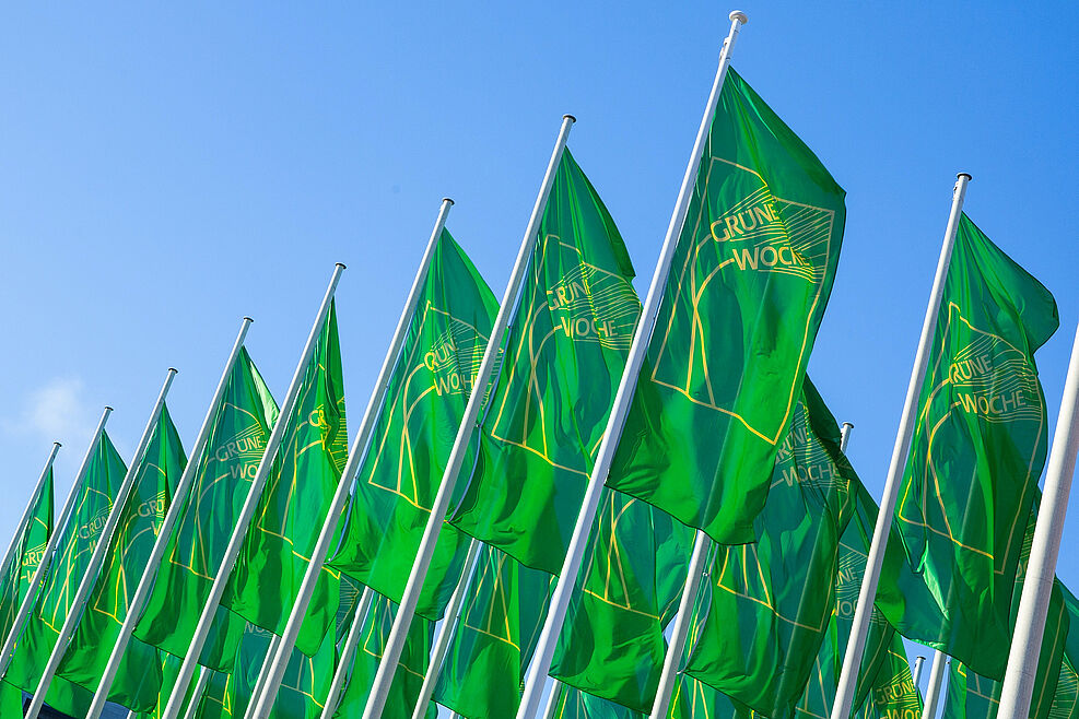 
	Blick nach oben: Mehrere Grüne Fahnen vor blauem Himmel. Auf den Fahnen ist in gelb das Logo der grünen Woche zu sehen.
