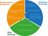 Interaktion und Synergismen zwischen den Arbeitsbereichen, Arbeitsgruppen am JKI-Institut für Obstzüchtung