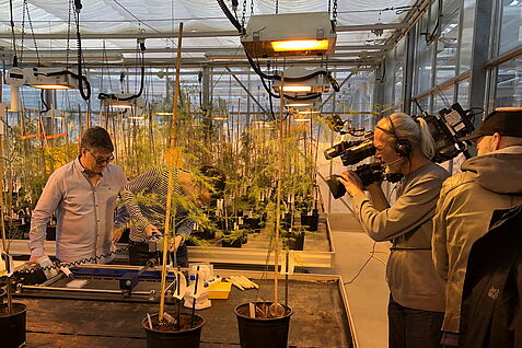 Dr. Thomas Nothnagel (JKI) erläutert WDR Moderator Sebastian Auer Auswirkungen des Virusbefalls © S. Hahn/JKI