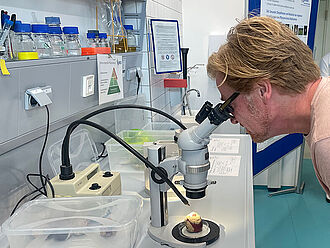 Ein Besucher untersucht Fruchtfäule an Steinobst. © Sarah Barnert/JKI