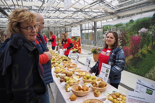 Lea Broschewitz, Florentine Keller, Sabine Bartsch und Katrin Winkler bei der Vorstellung tradioneller Apfel- und Birnensorten aus der Genbank. Foto: Ute Sonntag/JKI