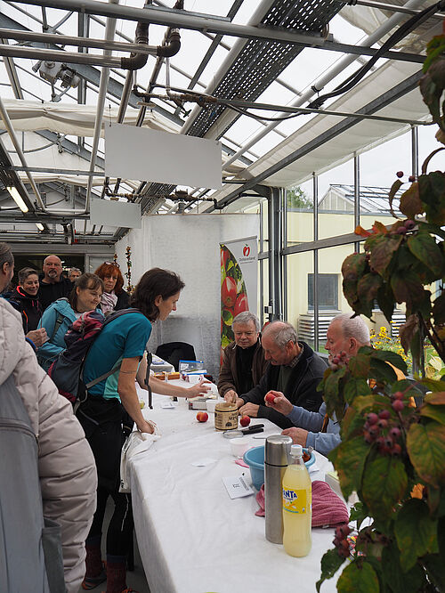 Die Pomologwen Ralf Frenzel, Klaus Schwarz und Henner Grapow bei der Arbeit. Foto: Ute Sonntag/JKI