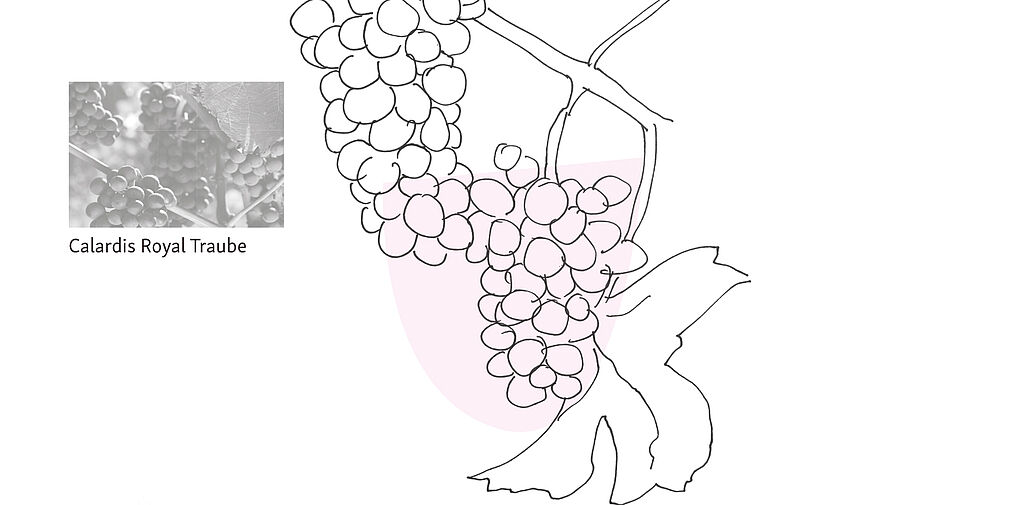 © Dörte Wähner, info@doma.de | Calardis Royal