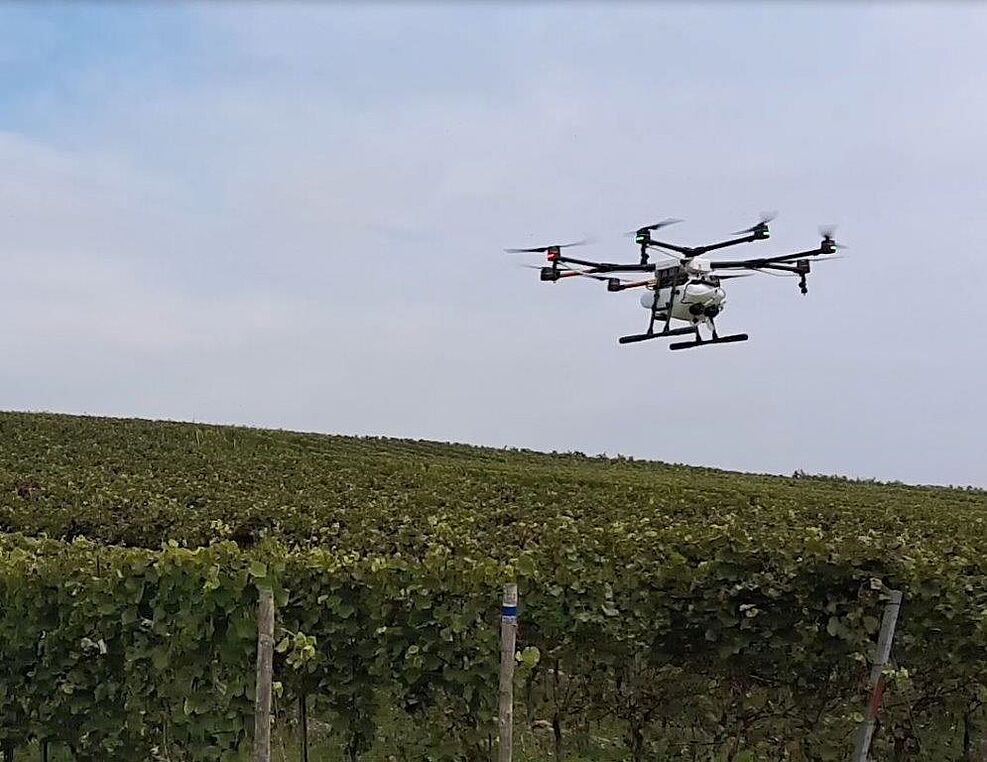 
	Feldversuch zur Pflanzenschutzmittelapplikation im Weinberg mit Drohne © A. Herbst/JKI
