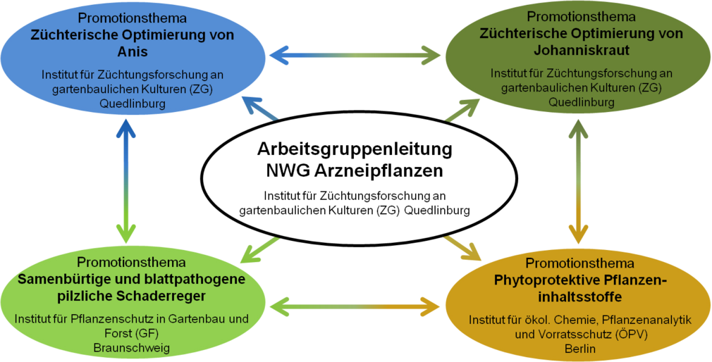 Listet 4 Promotionsthemen