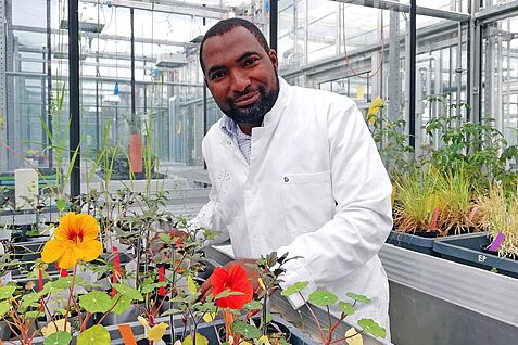 Dr. Sulaiman Abdulsalam - hier noch bei seinen Vorversuchen mit Kapuzinerkresse und Tomate.