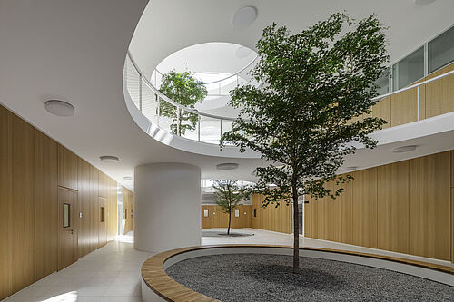 JKI-Dossenheim: Blick vom Eingangsbereich des Atriums nach oben. © Dirk Altenkirch