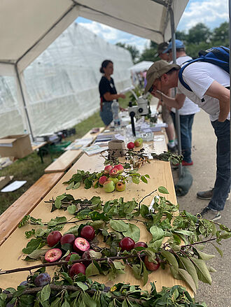 Unsere Kolleginnen und Kollegen beraten interessierte Besuchende am Stand vom „Pflanzen-Doktor“. © Sarah Barnert/JKI