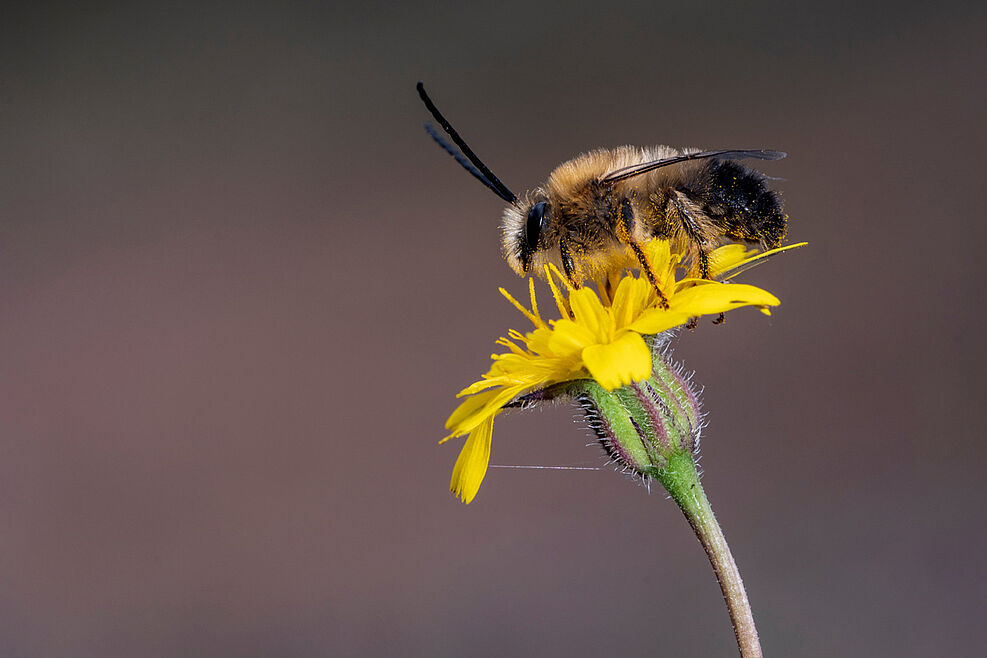 
	AdobeStock_480719532_Agustin-
