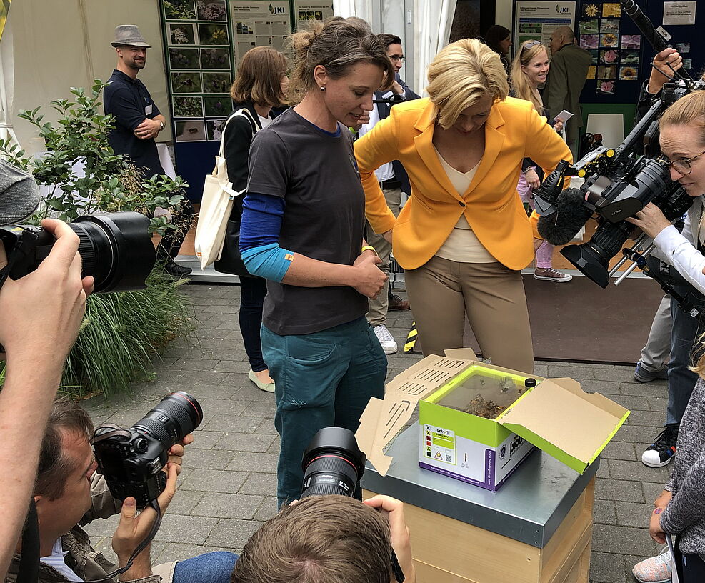 
	BM Klöckner schaut zusammen mit der ARD ins Hummelvolk © S.Hahn/JKI
