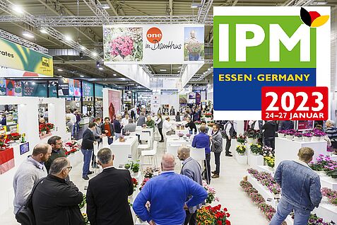 Überblick Messehalle IPM. Quelle Foto: IPM Essen