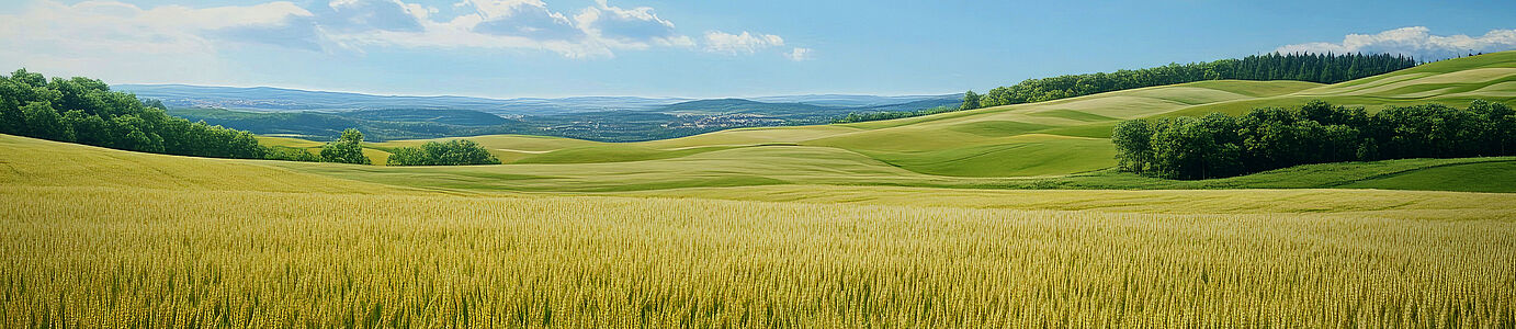 [Translate to English:] 