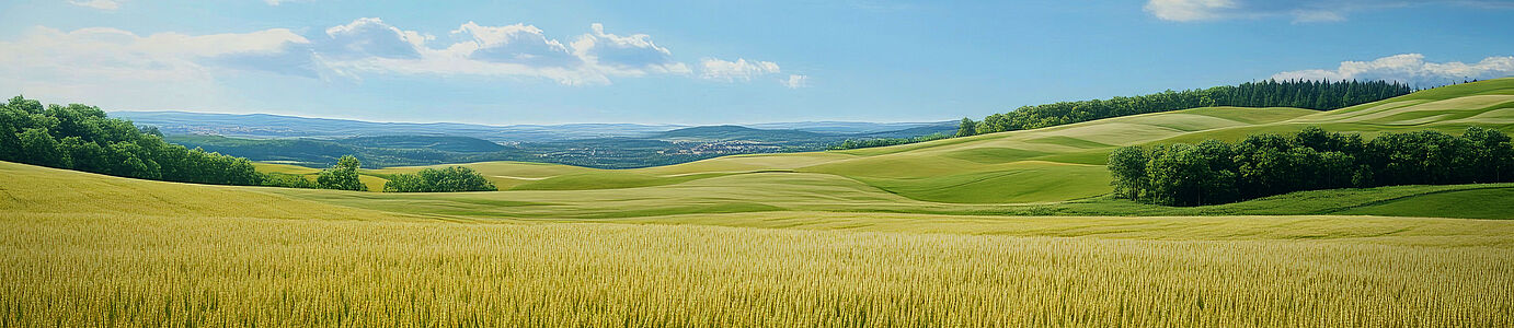 [Translate to English:] 