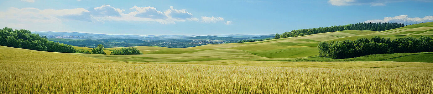 [Translate to English:] 